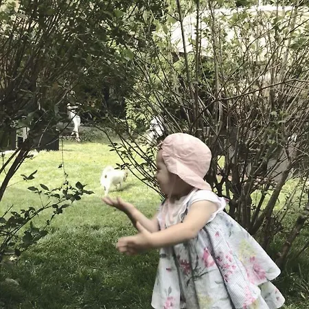 Апартаменты Apartmaji Stala