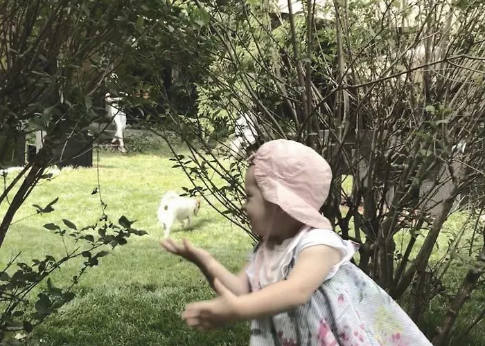 Apartment Apartmaji Stala